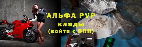 прущие грибы Кодинск