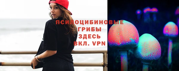 соль ск Кинешма