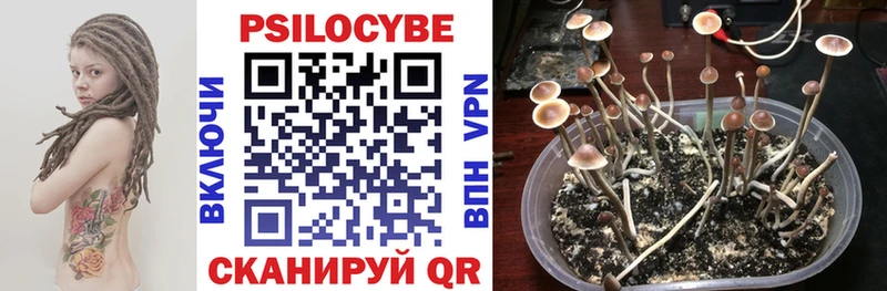 Купить закладки  Владивосток  Галлюциногенные грибы прущие грибы 